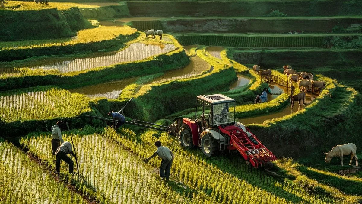 Warunki Rozwoju Rolnictwa w Azji